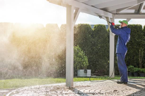 Best Solar Panel Cleaning  in Pine Beach, NJ
